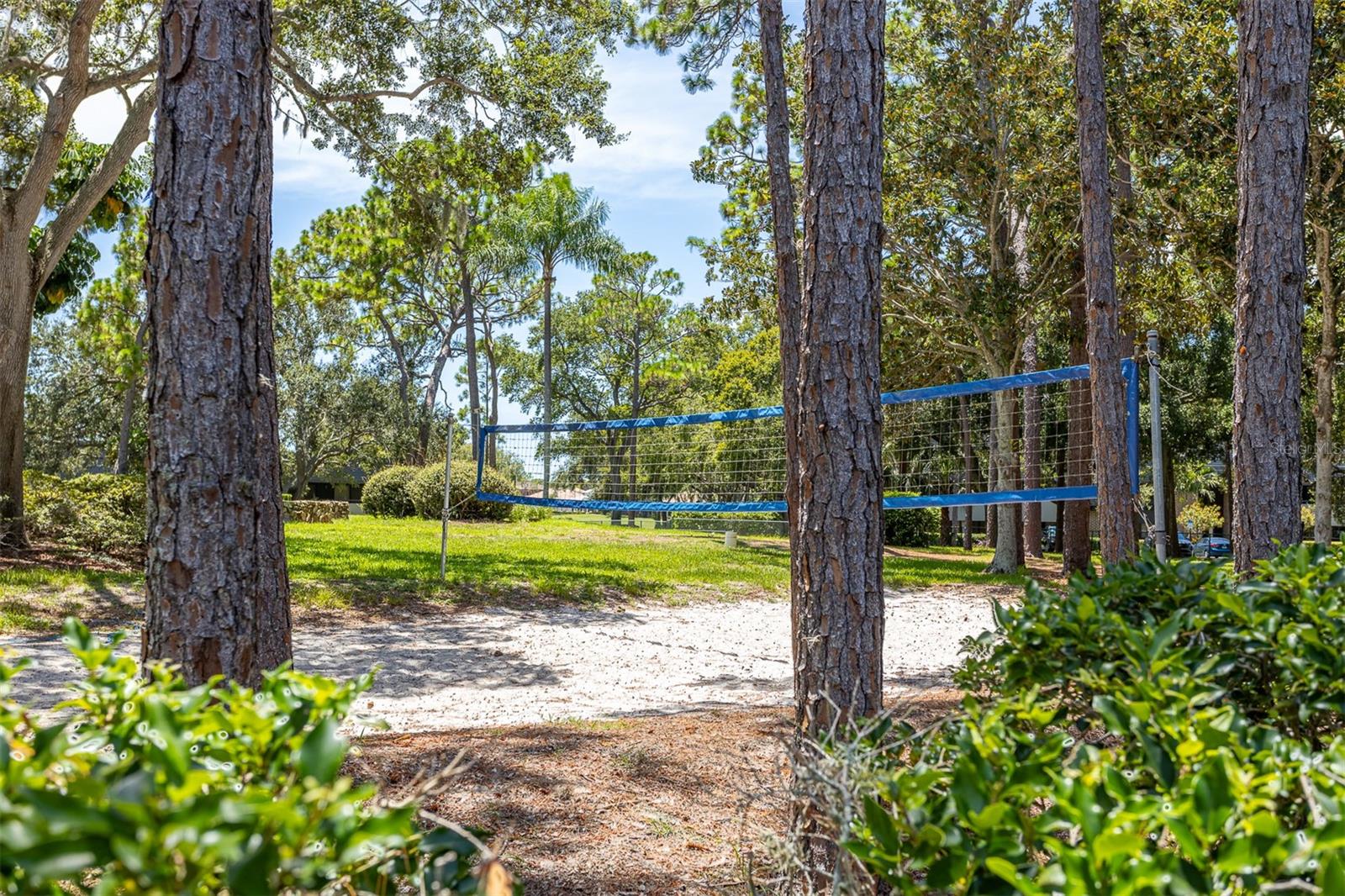 Palm Harbor, Florida, 34683, United States, 4 Bedrooms Bedrooms, ,3 BathroomsBathrooms,Residential,Active,1905355