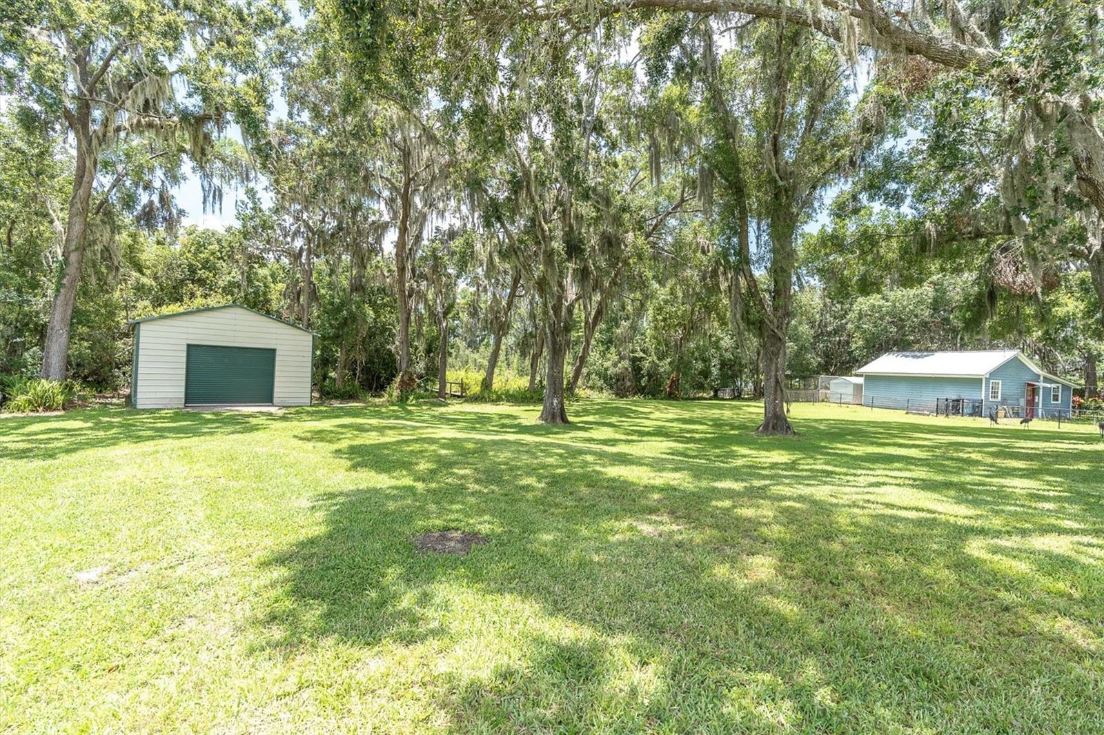 Odessa, Florida, 33556, United States, 4 Bedrooms Bedrooms, ,3 BathroomsBathrooms,Residential,Active,1871641