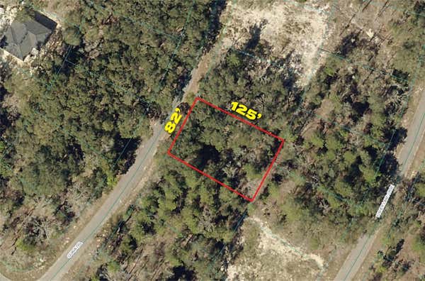 GUAVA TRAIL, OCKLAWAHA, FL 32179 - Image 1