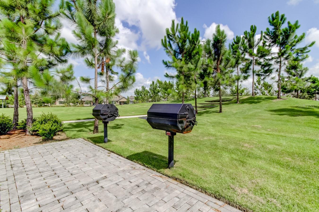 Odessa, Florida, 33556, United States, 5 Bedrooms Bedrooms, ,4 BathroomsBathrooms,Residential,Active,2045800