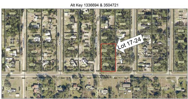 LOT 17-24 PALMETTO STREET, PAISLEY, FL 32767 - Image 1