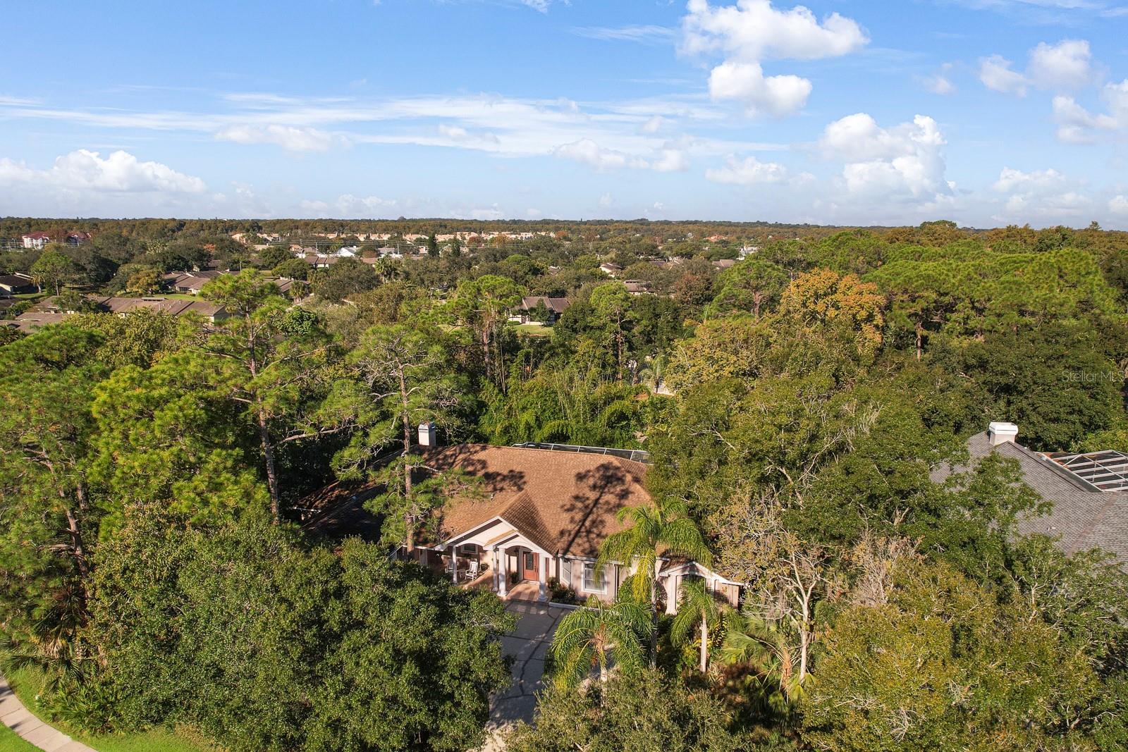 Oldsmar, Florida, 34677, United States, 5 Bedrooms Bedrooms, ,4 BathroomsBathrooms,Residential,Active,2009416