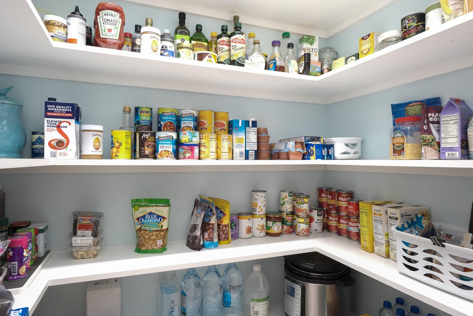 Oldsmar, Florida, 34677, United States, 5 Bedrooms Bedrooms, ,4 BathroomsBathrooms,Residential,Active,2009416