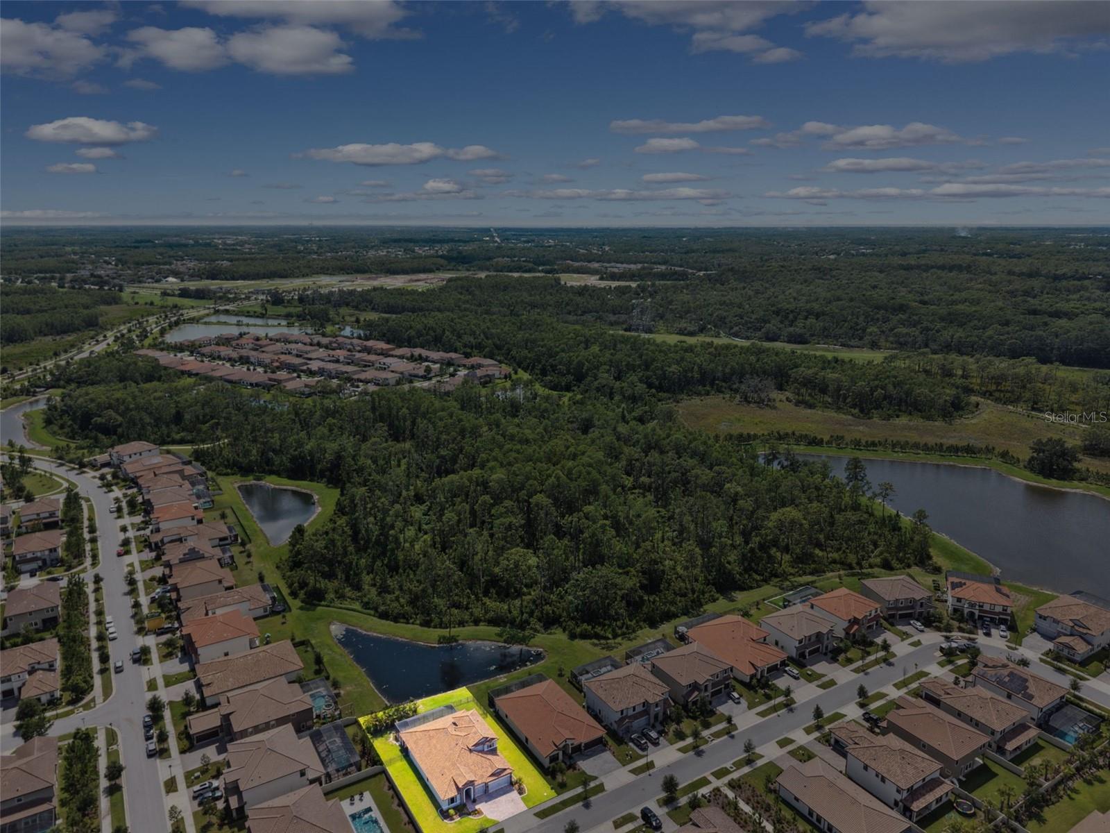 Odessa, Florida, 33556, United States, ,4 BathroomsBathrooms,Residential,Active,1869150