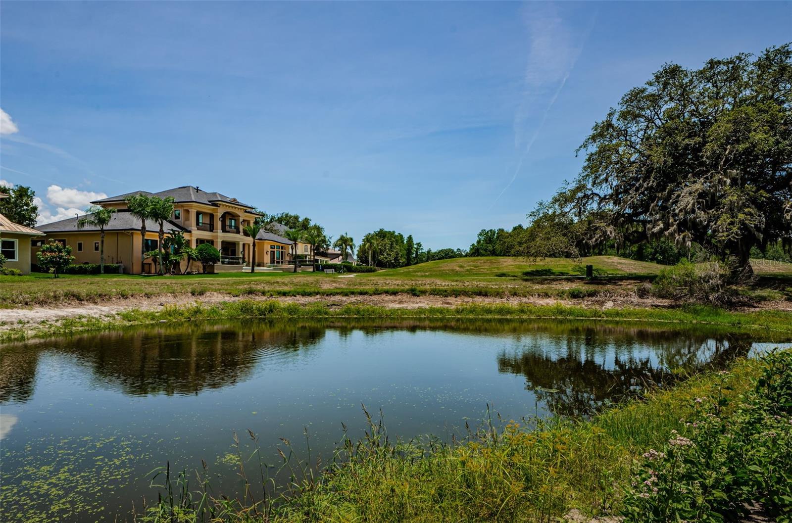Tarpon Springs, Florida, 34688, United States, 5 Bedrooms Bedrooms, ,4 BathroomsBathrooms,Residential,Active,1853279