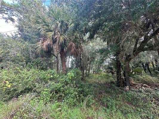 PERVIS LN, OSTEEN, FL 32764 - Image 1