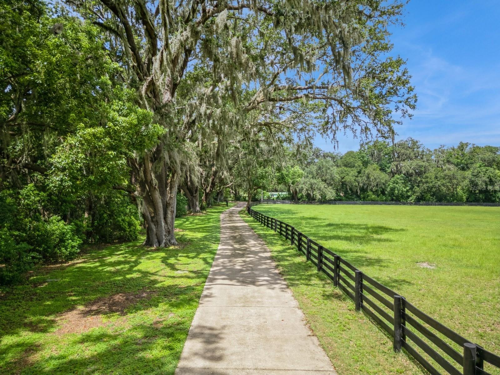 Fruitland Park, Florida, 34731, United States, 7 Bedrooms Bedrooms, ,6 BathroomsBathrooms,Residential,Active,1894791