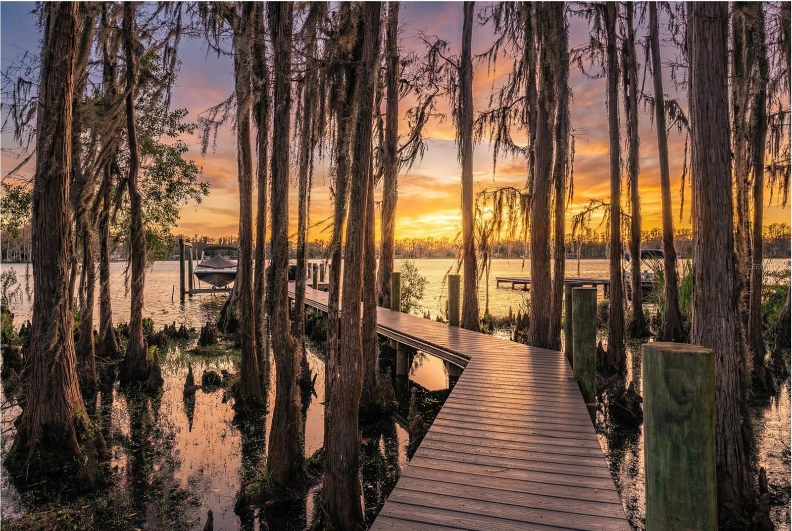 Odessa, Florida, 33556, United States, 5 Bedrooms Bedrooms, ,4 BathroomsBathrooms,Residential,Active,2017440