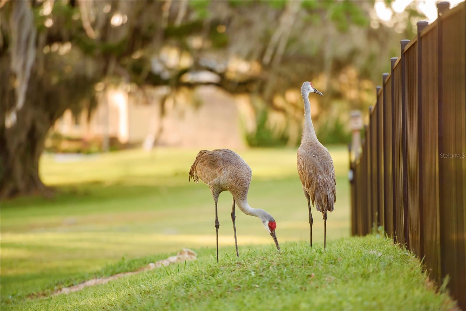 Gainesville, Florida, 32608, United States, 4 Bedrooms Bedrooms, ,3 BathroomsBathrooms,Residential,Active,1989761