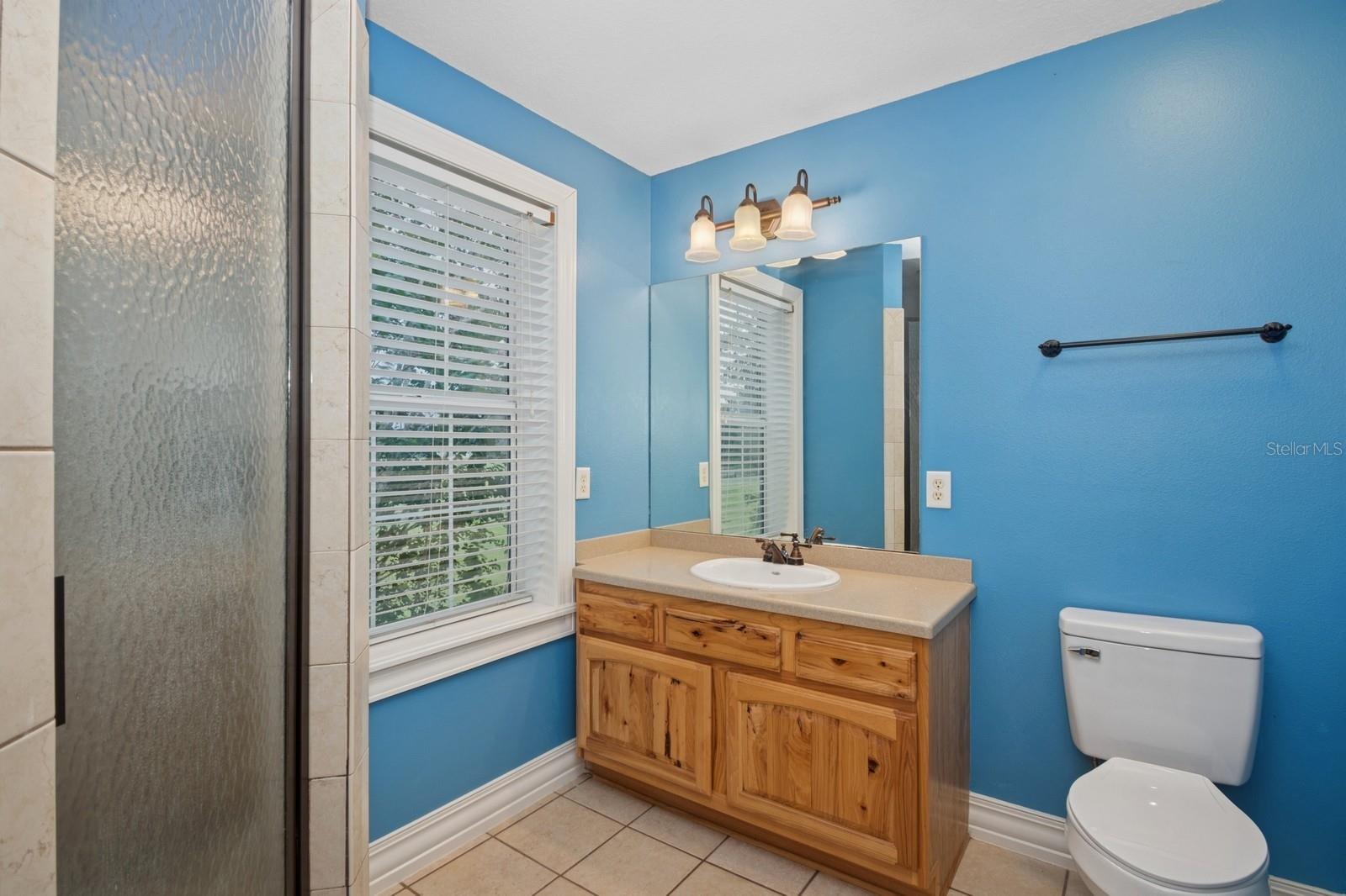 Fruitland Park, Florida, 34731, United States, 7 Bedrooms Bedrooms, ,6 BathroomsBathrooms,Residential,Active,1894791