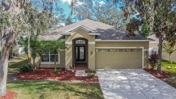 10802 MOSS ISLAND DR, RIVERVIEW, FL 33569 - Image 1