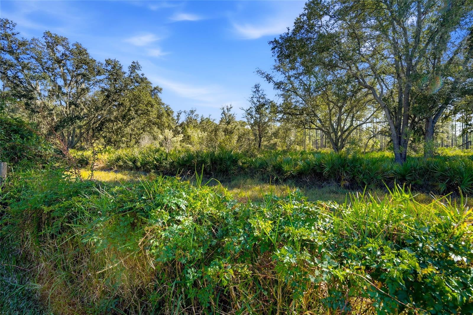 Tampa, Florida, 33647, United States, 5 Bedrooms Bedrooms, ,5 BathroomsBathrooms,Residential,Active,1990671