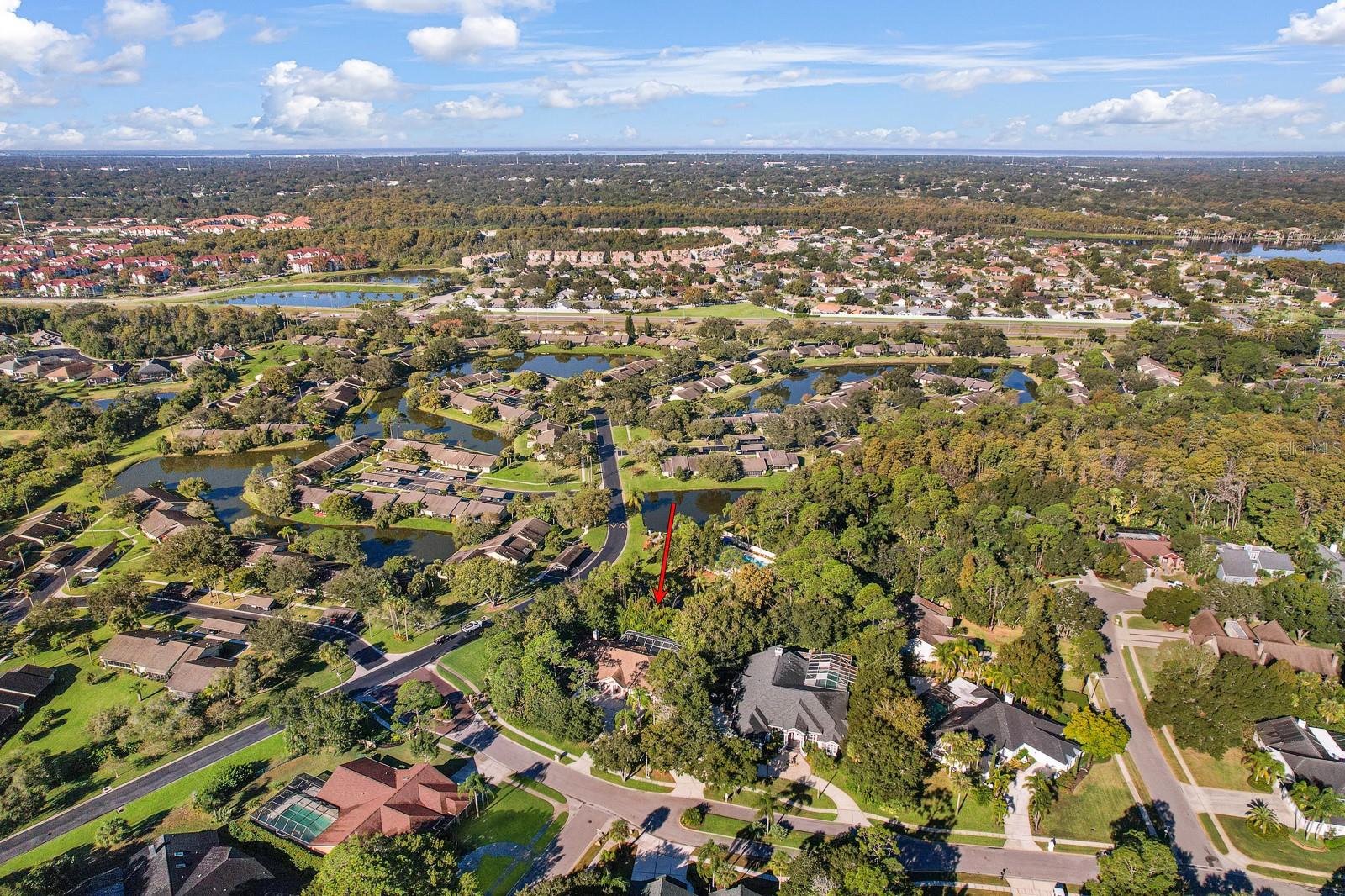 Oldsmar, Florida, 34677, United States, 5 Bedrooms Bedrooms, ,4 BathroomsBathrooms,Residential,Active,2009416