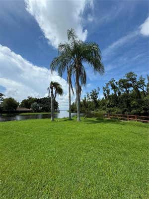 26621 W COVE DR, TAVARES, FL 32778 - Image 1