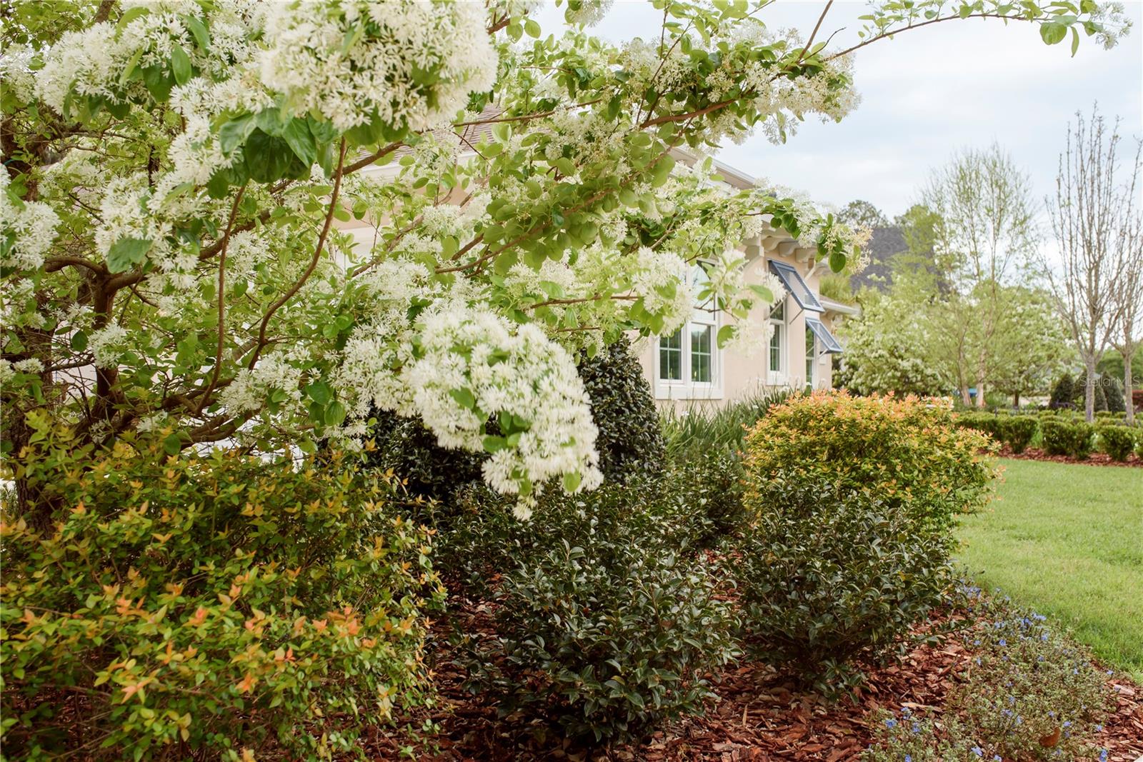Gainesville, Florida, 32608, United States, 4 Bedrooms Bedrooms, ,3 BathroomsBathrooms,Residential,Active,1989761