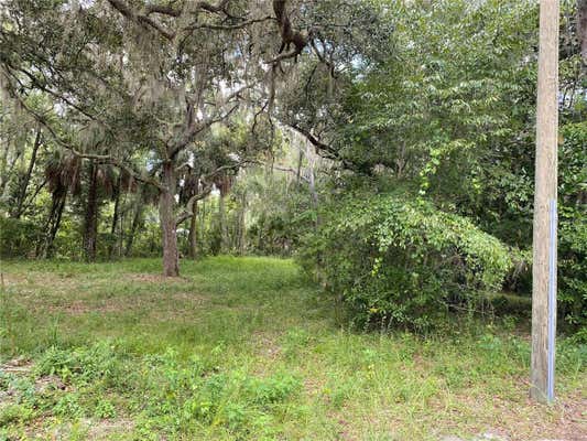 CR 448C, LAKE PANASOFFKEE, FL 33538 - Image 1