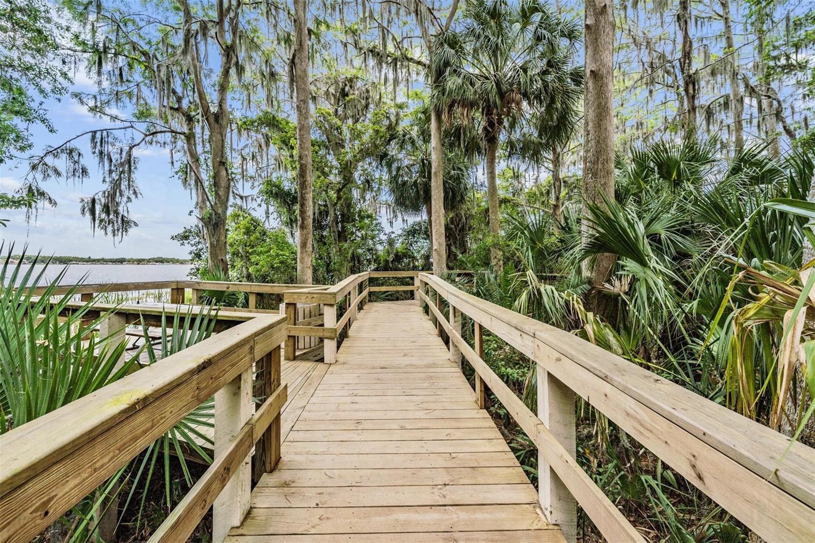 Palm Harbor, Florida, 34685, United States, ,4 BathroomsBathrooms,Residential,Active,1810371