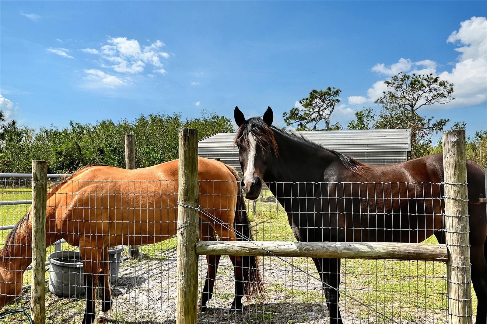 Bradenton, Florida, 34211, United States, 4 Bedrooms Bedrooms, ,3 BathroomsBathrooms,Residential,Active,1730719