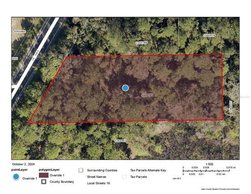 COUNTY ROAD 445A, ASTOR, FL 32102 - Image 1