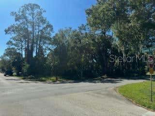 QUEEN PALM DR, EDGEWATER, FL 32141 - Image 1