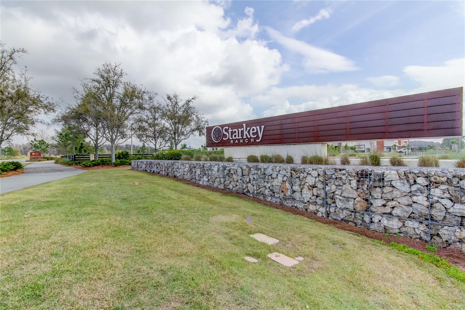 Odessa, Florida, 33556, United States, 4 Bedrooms Bedrooms, ,3 BathroomsBathrooms,Residential,Active,1877812