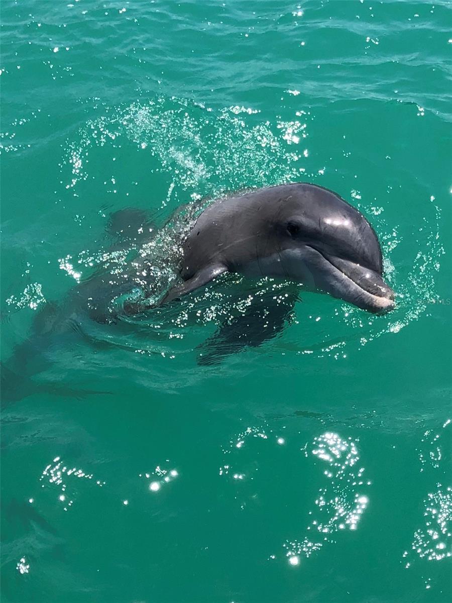 Englewood, Florida, 34224, United States, 3 Bedrooms Bedrooms, ,3 BathroomsBathrooms,Residential,Active,1965801