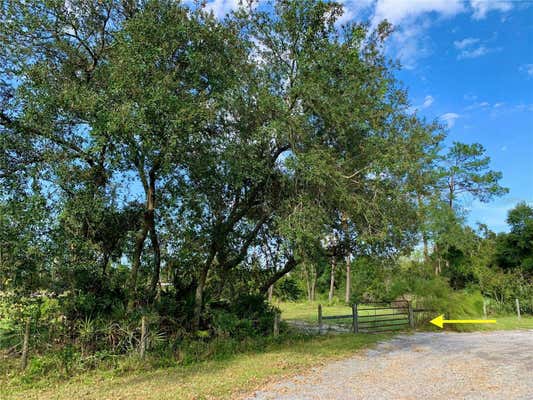 LOT 4 SAFFRON AVENUE, EUSTIS, FL 32736 - Image 1