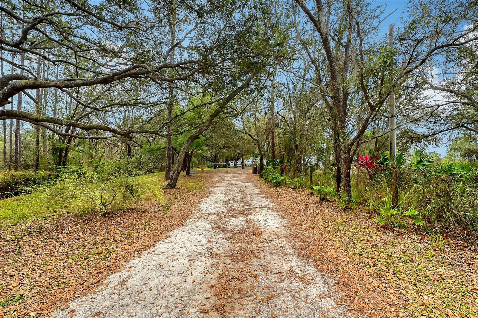 Bradenton, Florida, 34211, United States, 4 Bedrooms Bedrooms, ,3 BathroomsBathrooms,Residential,Active,1730719