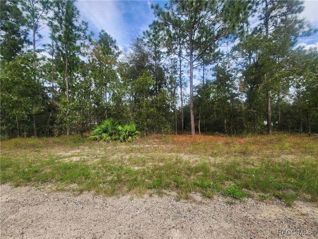 9913 N SWANEE TER, DUNNELLON, FL 34433, photo 1 of 7