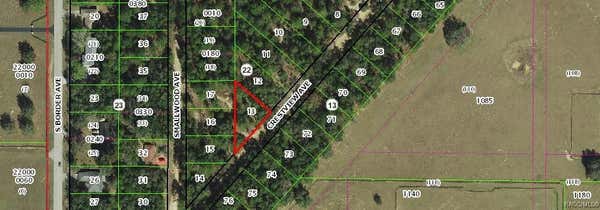 318 S CRESTVIEW AVE, INVERNESS, FL 34452 - Image 1