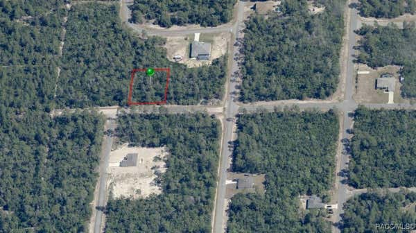 4445 W THRUSH DR, CITRUS SPRINGS, FL 34433 - Image 1