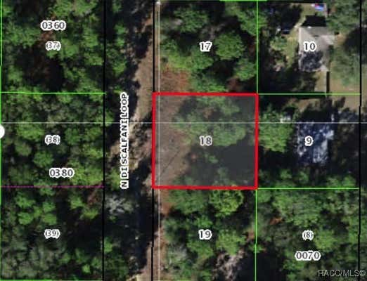 8699 N DISCALFANI LOOP, CRYSTAL RIVER, FL 34428 - Image 1