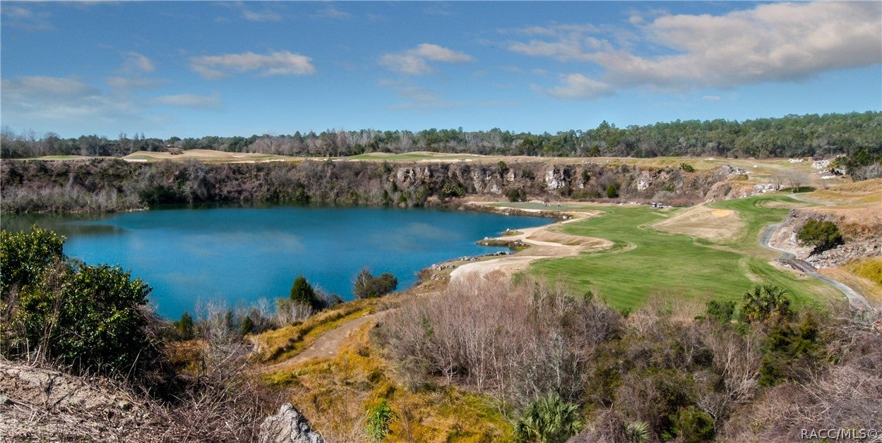 Lecanto, Florida, 34461, United States, 3 Bedrooms Bedrooms, ,5 BathroomsBathrooms,Residential,Active,2028539