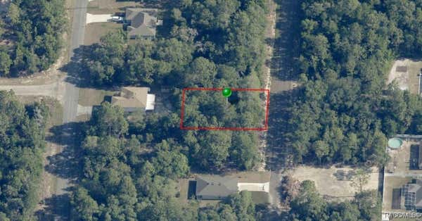 8862 N SPARTAN DR, CITRUS SPRINGS, FL 34433 - Image 1