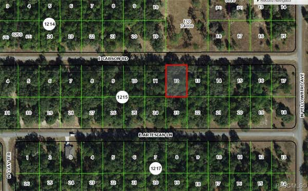 1746 E CARSON RD, DUNNELLON, FL 34434 - Image 1