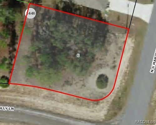 11128 N G MARTINELLI BLVD, CITRUS SPRINGS, FL 34433 - Image 1