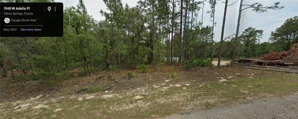 1948 W ADELIA PL, CITRUS SPRINGS, FL 34434 - Image 1