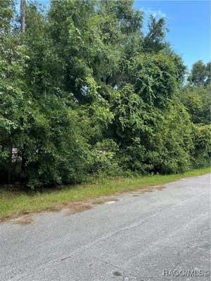 3125 E PATRICIA LN, INVERNESS, FL 34453 - Image 1