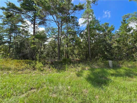 19 CANDYTUFT CT, HOMOSASSA, FL 34446 - Image 1