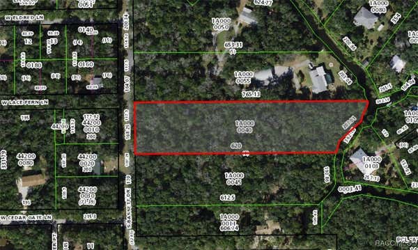 6715 S BASSETT DR, HOMOSASSA, FL 34448 - Image 1