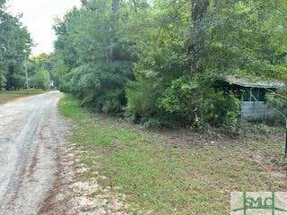 0 LAGOON ROAD, STATESBORO, GA 30461 - Image 1