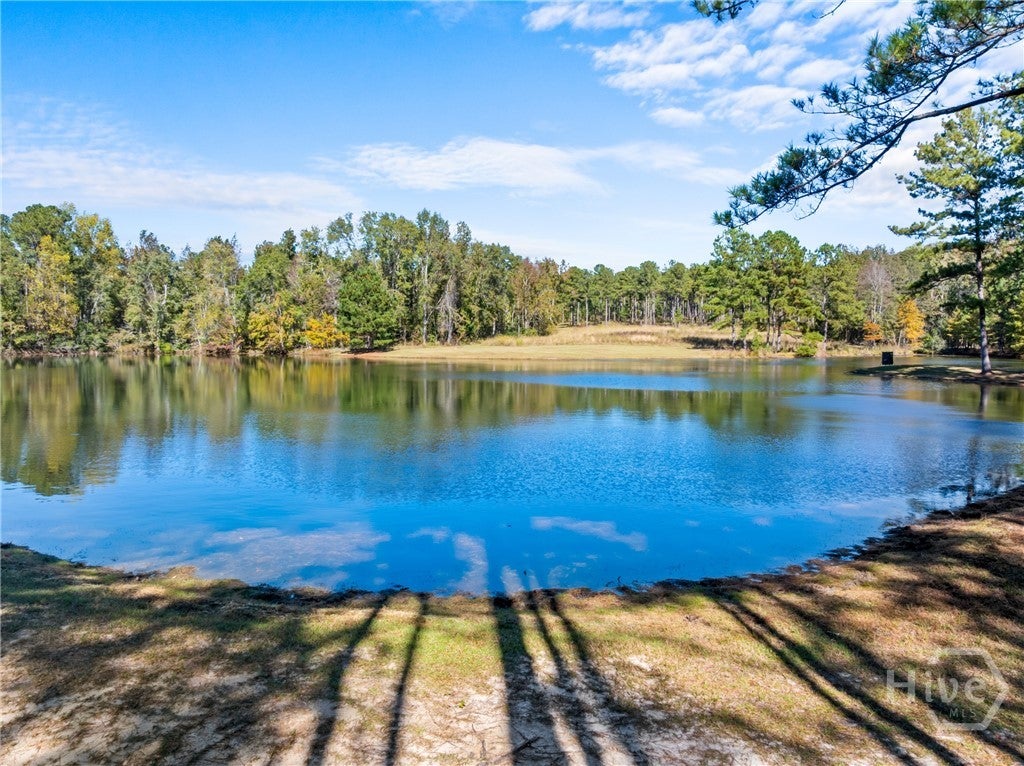 Millen, Georgia, 30442, United States, 3 Bedrooms Bedrooms, ,4 BathroomsBathrooms,Residential,Active,1987270