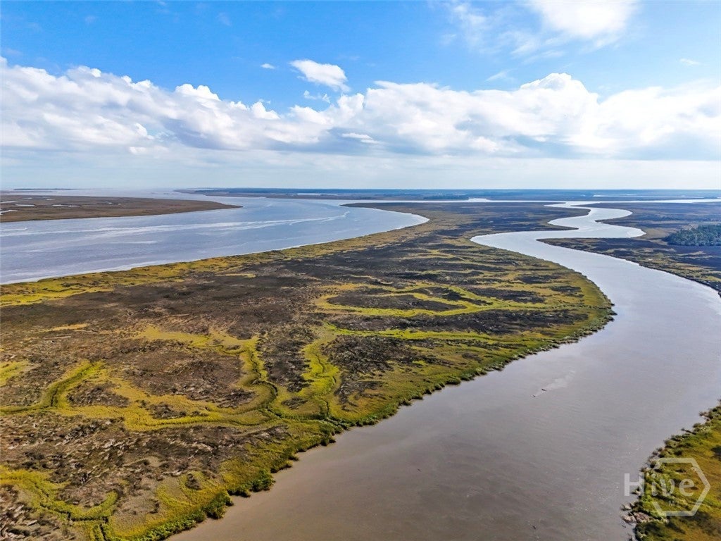 Richmond Hill, Georgia, 31324, United States, 5 Bedrooms Bedrooms, ,5 BathroomsBathrooms,Residential,Active,1922480