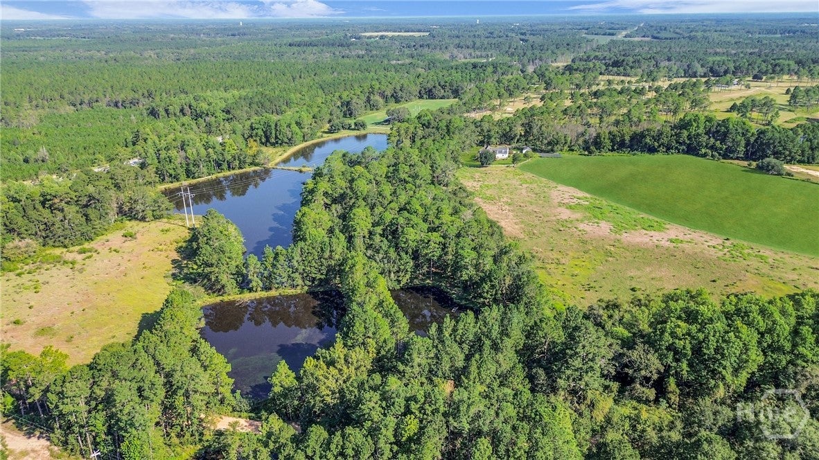 Claxton, Georgia, 30417, United States, 4 Bedrooms Bedrooms, ,4 BathroomsBathrooms,Residential,Active,1952595