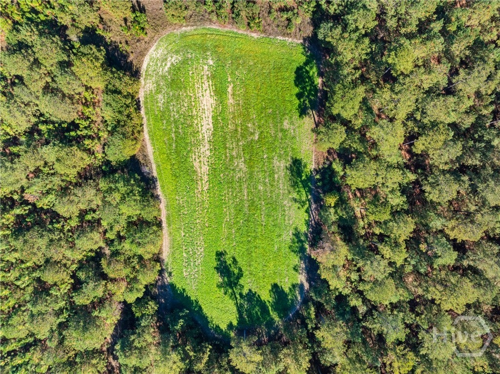 Millen, Georgia, 30442, United States, 3 Bedrooms Bedrooms, ,4 BathroomsBathrooms,Residential,Active,1987270