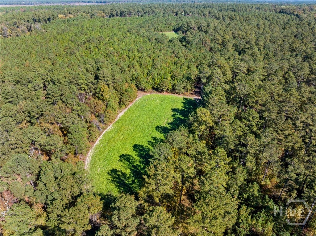 Millen, Georgia, 30442, United States, 3 Bedrooms Bedrooms, ,4 BathroomsBathrooms,Residential,Active,1987270