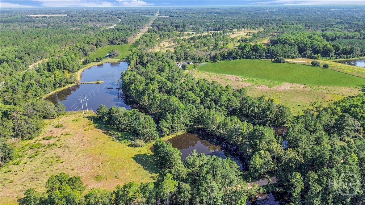 Claxton, Georgia, 30417, United States, 4 Bedrooms Bedrooms, ,4 BathroomsBathrooms,Residential,Active,1952595