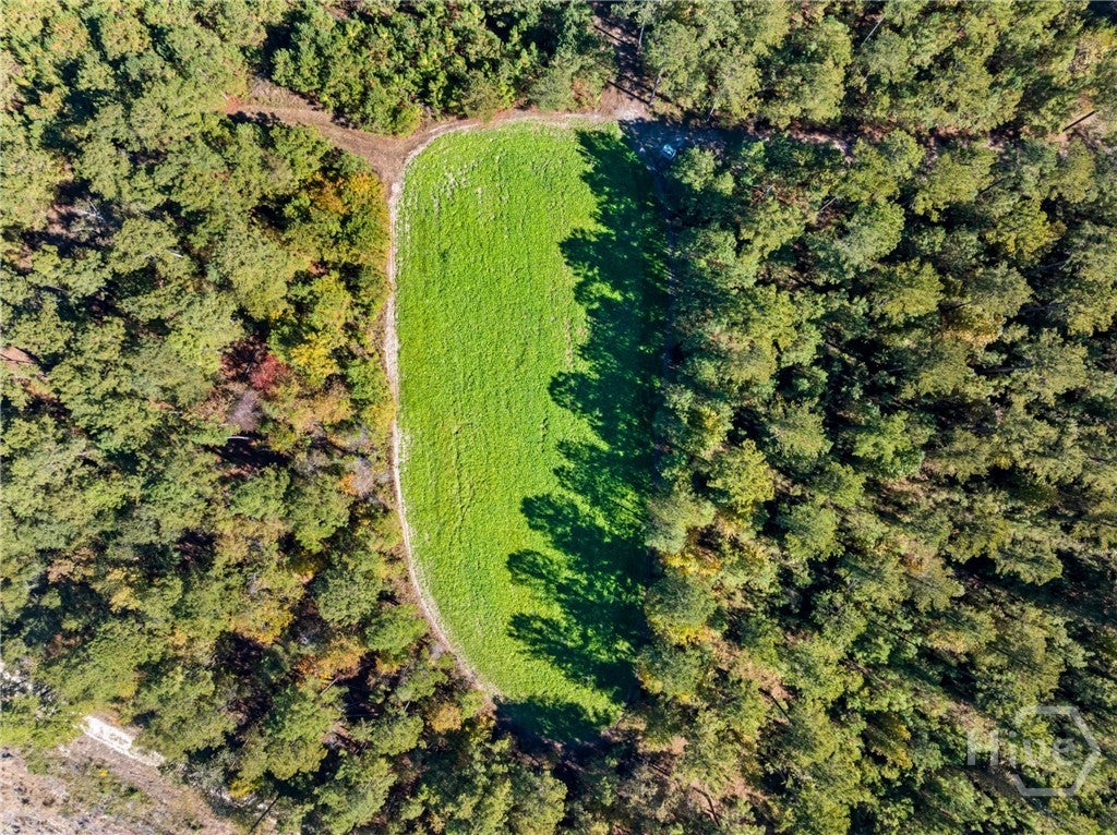 Millen, Georgia, 30442, United States, 3 Bedrooms Bedrooms, ,4 BathroomsBathrooms,Residential,Active,1987270