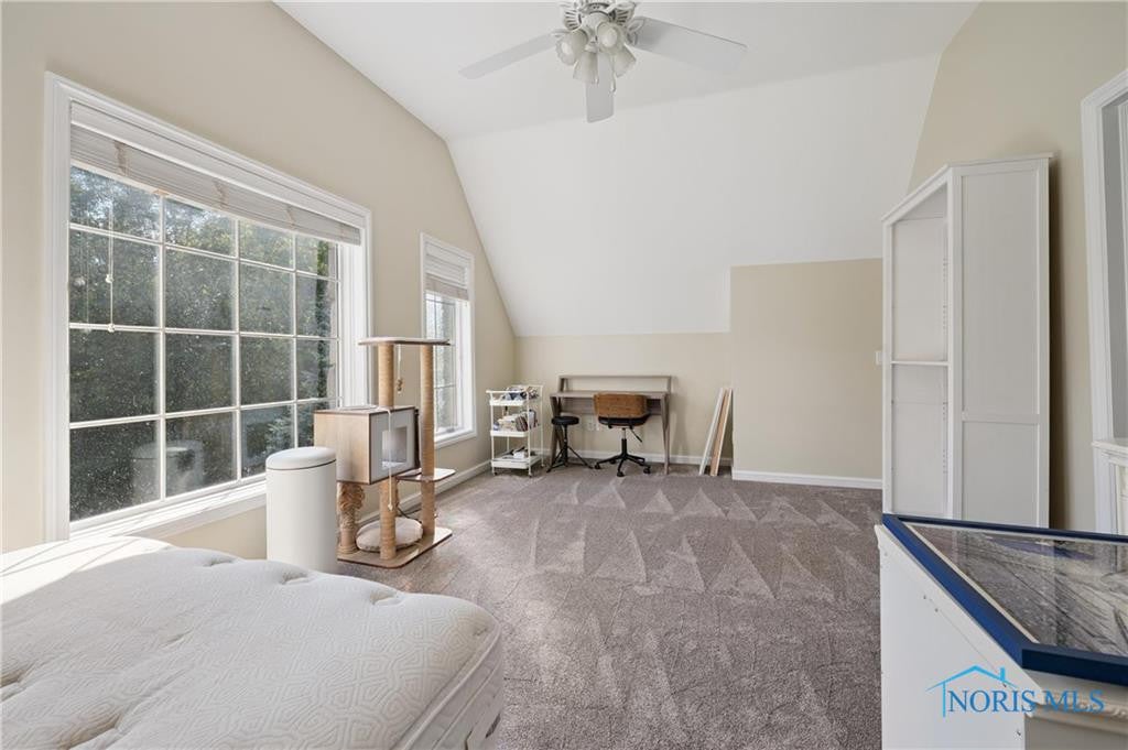 Toledo, Ohio, 43623, United States, 4 Bedrooms Bedrooms, ,8 BathroomsBathrooms,Residential,Active,1933872