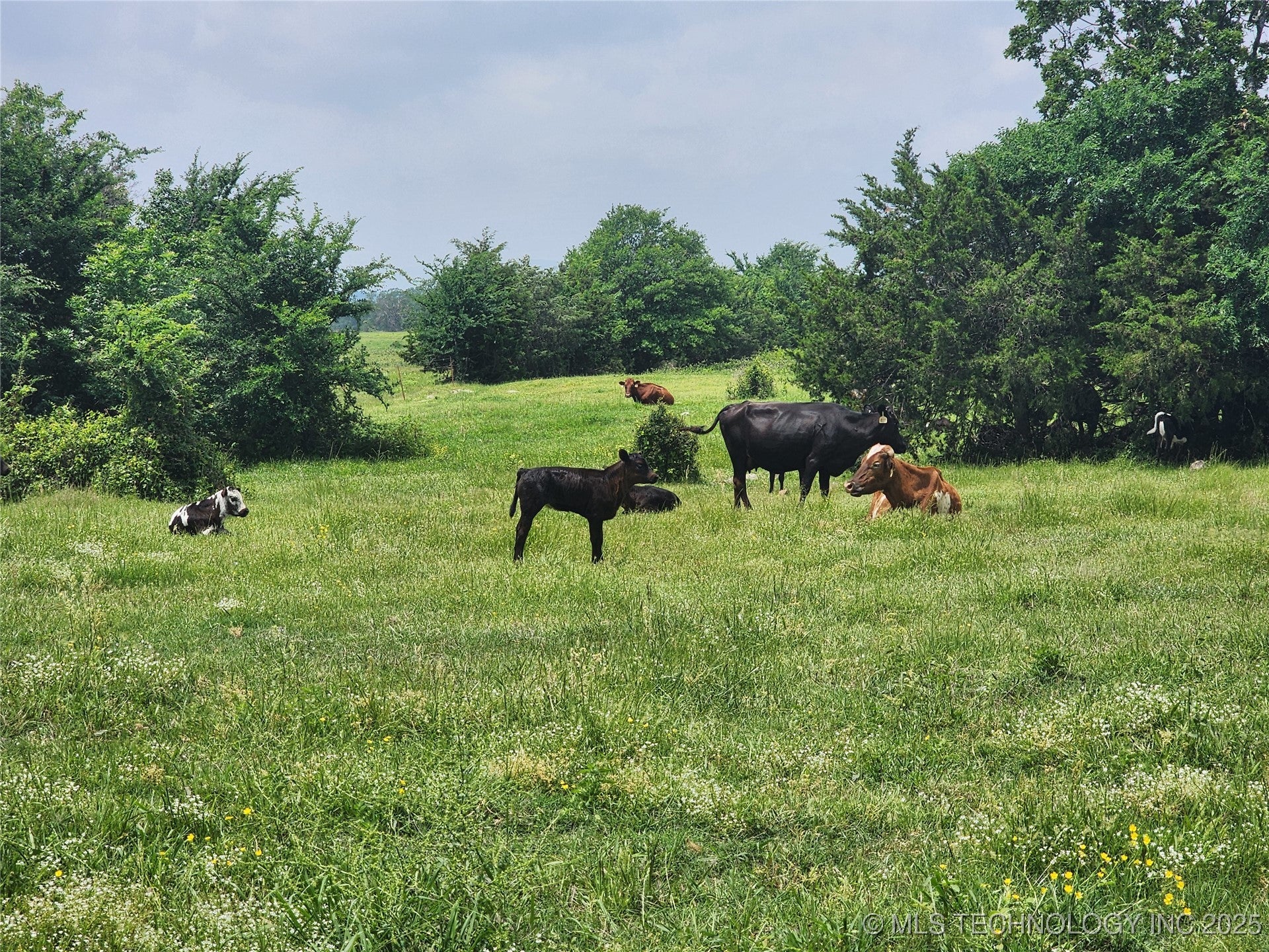 Talihina, Oklahoma, 74571, United States, ,2 BathroomsBathrooms,Residential,Active,1820338